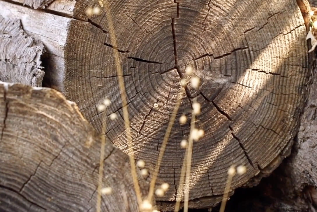 secreto-listone-giordano-sostenibilidad-interni-onesti-01